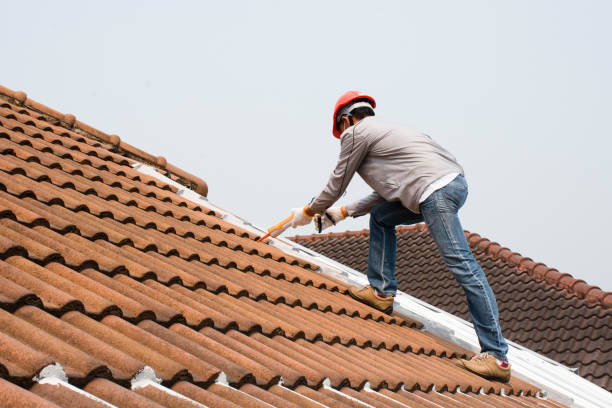 Best Roof Coating Services  in USA